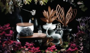 Alessi the five seasons in vendita da Giussanié casa Milano Affori